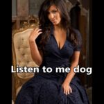 dog p2.mp4_snapshot_09.47_[2025.07.02_10.54.29]